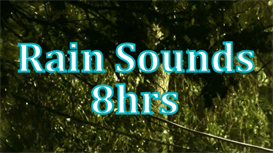 8hrs of Rain Sounds