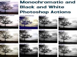 12 Black & white, and monochromatic photoshop actions