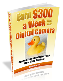 How To Make $300 a Week With Your Camera