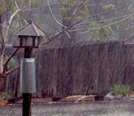 The Summer Shower with Thunder