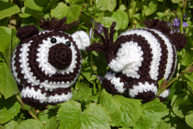 Zachary Zebra