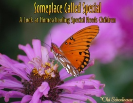 Someplace Called Special: A Look at Homeschooling Special Needs Children