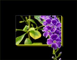 Flower 4