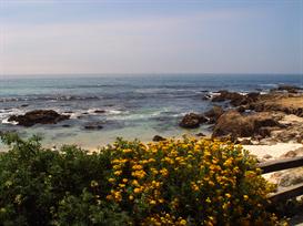 Ocean 3