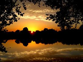 Sunset 5