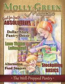 Molly Green Magazine: The Well-Prepped Pantry