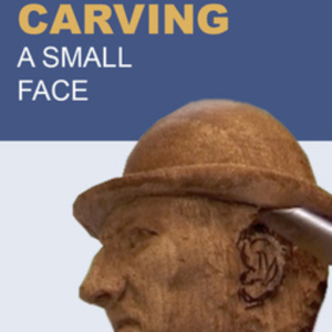 Carving a Small Face