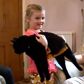 Two Video Set: Teach Your Children to Talk to Cats and Permission to Pet