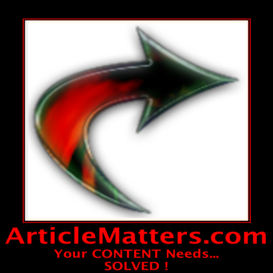 24 You Tube PLR Articles
