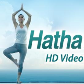Vol 2. Hatha Yoga 15 HD Quality Videos