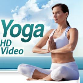 Vol 5. Hatha Yoga 15 HD Quality Videos