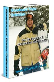 Snowboard Ticks Collection