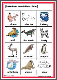 Memory Game - Arctic / Antarctic