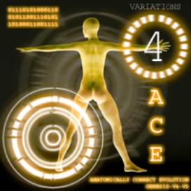 Anatomically Correct Evolution: Variations 4
