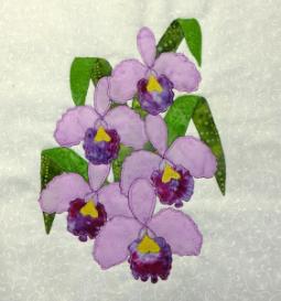 BOW orchid