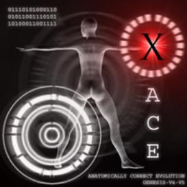 Anatomically Correct Evolution: X