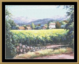 VINEYARD COLLECTION Silverado Trail Napa