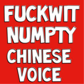 Fuckwit Numpty Chinese