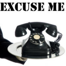 Excuse Me An Idiot Is Trying To Reach You (Text Tone)