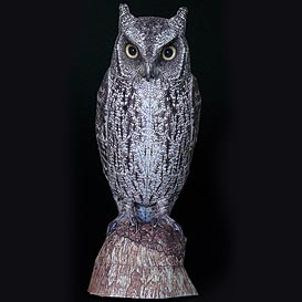 Paper model: The Scops Owl