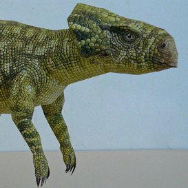 Paper model: The Microceratops