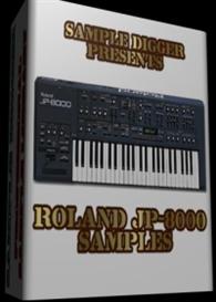 ROLAND JP 8000  - 411 WAV SAMPLES