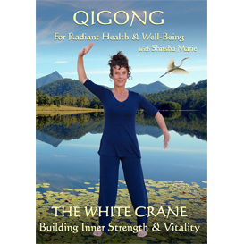 Qigong - The White Crane