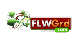 LOGO44