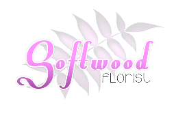 LOGO71
