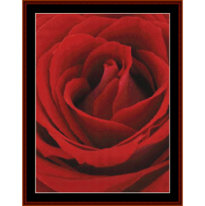 Blooming Red Rose - Floral cross stitch pattern download