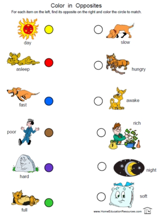 book microstructure property