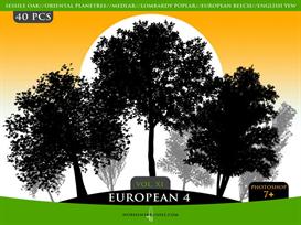 horhewsbrushes vol.xi-european 4