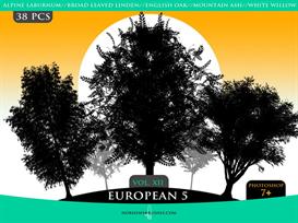 horhewsbrushes vol.xii-european 5
