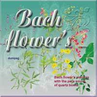 Bach Flower mantras -  agrimony