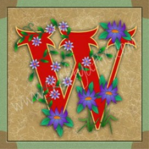 download embroiderers illuminated letter w