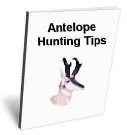 antelope hunting tips - how to hunt basics and fundamentals