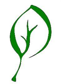 Leaf Outline