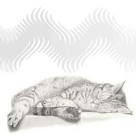 Cat purring sound purr your baby to sleep. Stress relief and insomnia help.