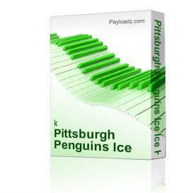 Pittsburgh Penguins Ice Ice Hockey 2009 Playoffs