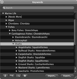 Marine Life Keywords for Lightroom and Aperture