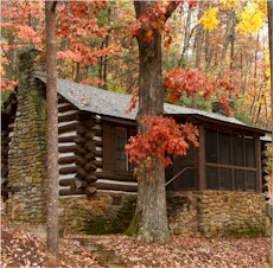 Tin Roof Cabin