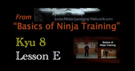 Ninjutsu - 8th Kyu - E - SAN SHIN - 3 Hearts Form - Basics of Ninja Training