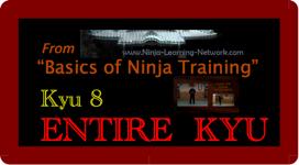 Basics of Ninja Training - 8th Kyu - LARGE MOVIE VERSION - Bujinkan / Ninjutsu
