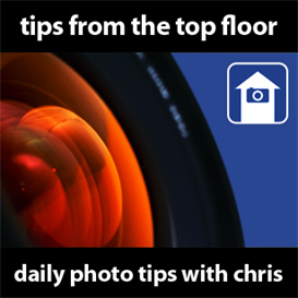 dptwc episodes 41 to 50 with exclusive e-book