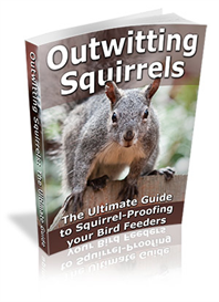 Outwitting Squirrels- -The Ultimate Guide