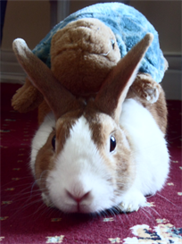 Smirnoff The Rampant Rabbit Video
