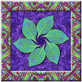 photoshop kaleidoscope + pattern + frame + parchment effects actions, mac or pc -
