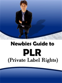 Newbies Guide To PLR