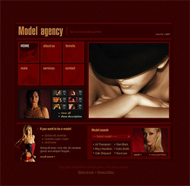 200,000 website templates and 5,000 ebooks with re-sellers rights
