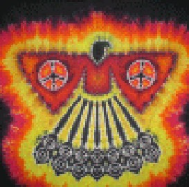 Learn Howto Tie Dye Phoenix Bird